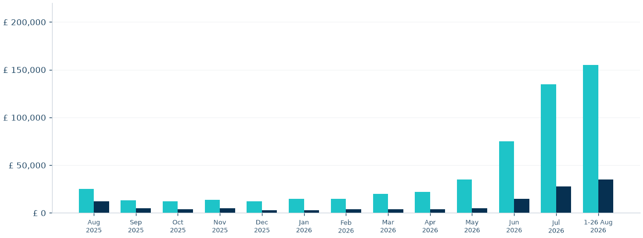 Baby products monthly sales and net profit chart covering August 2025 to August 2026, with the final month covering August 1 to 26.